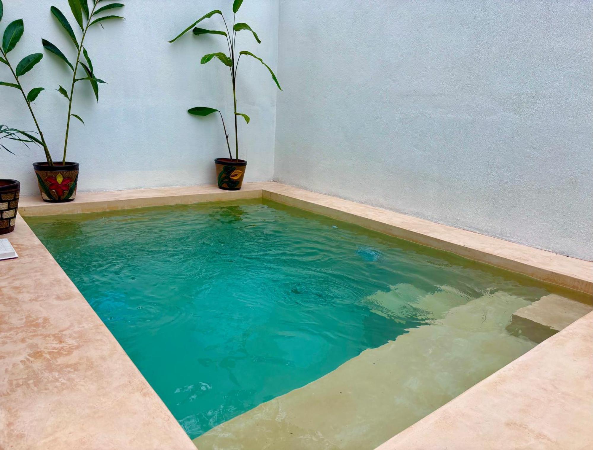Excelente Alberca Privada En Residencial Privado, Gym, Asador Vila Ciudad Valles Exterior foto