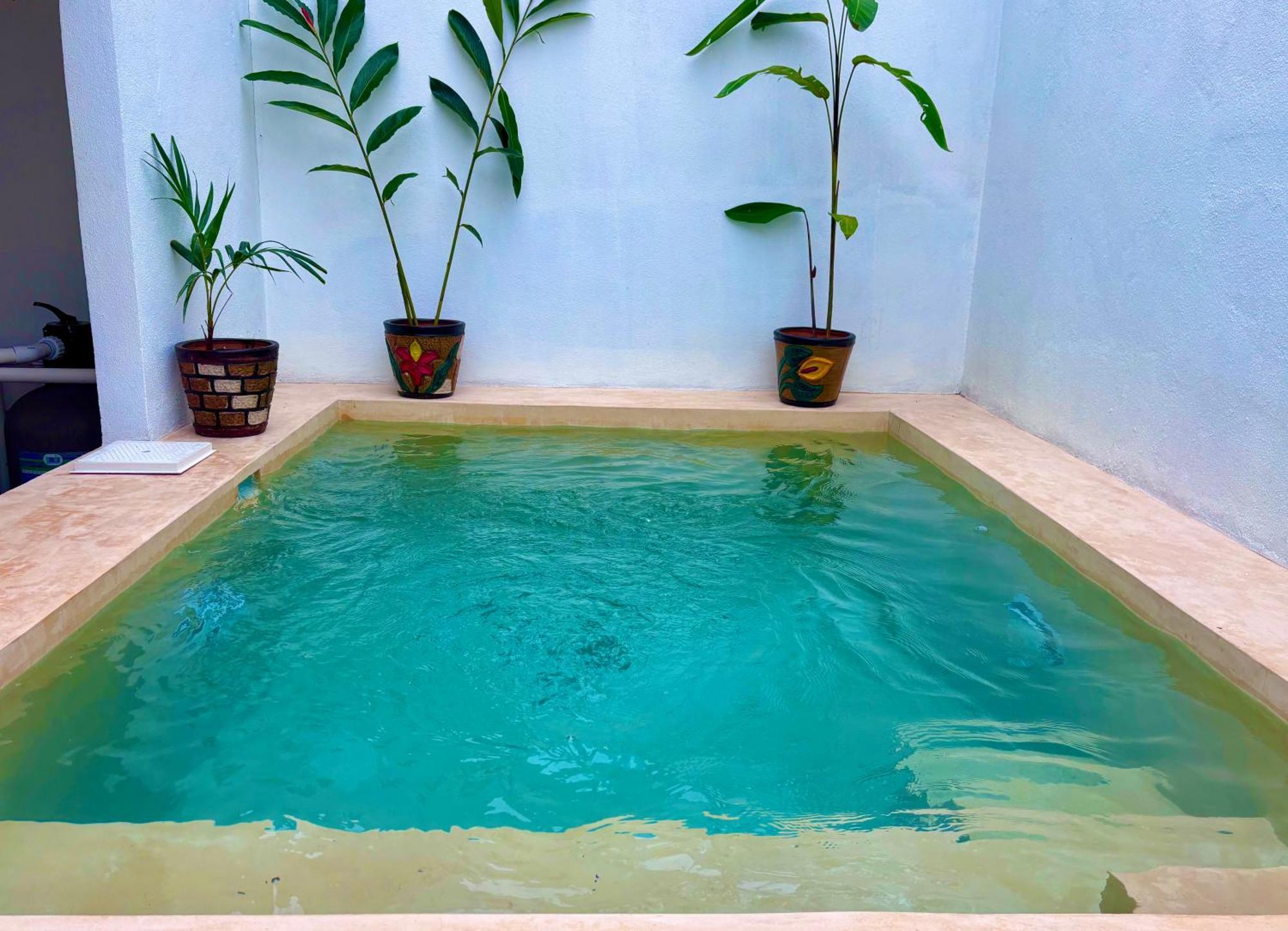 Excelente Alberca Privada En Residencial Privado, Gym, Asador Vila Ciudad Valles Exterior foto