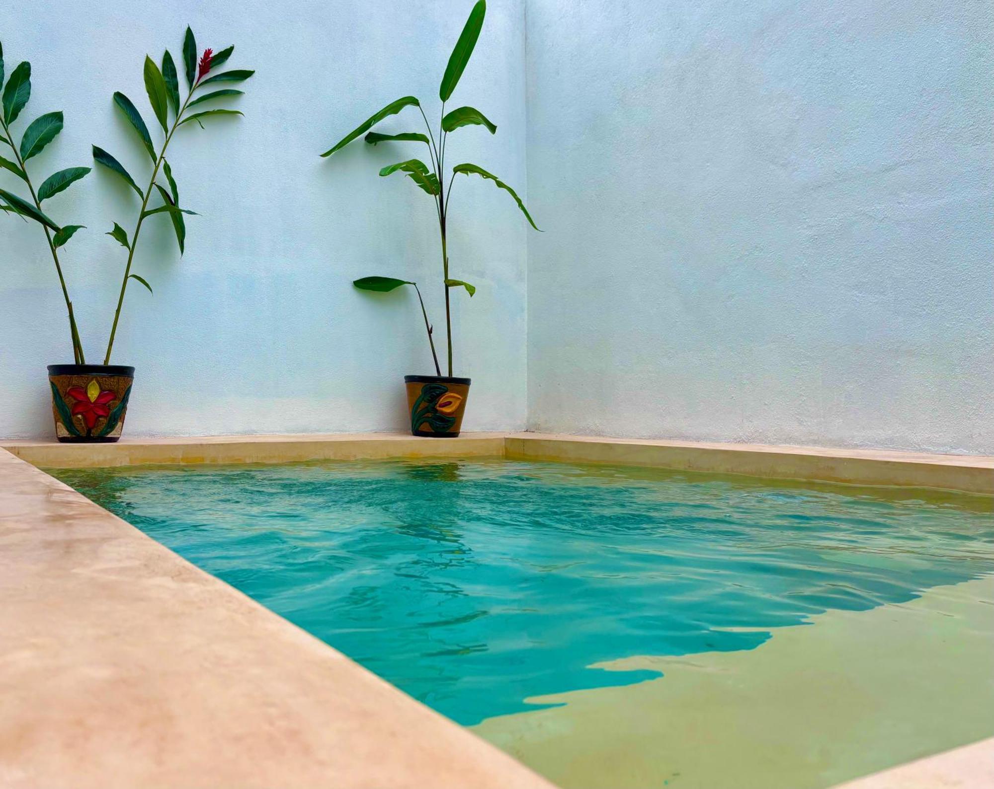 Excelente Alberca Privada En Residencial Privado, Gym, Asador Vila Ciudad Valles Exterior foto